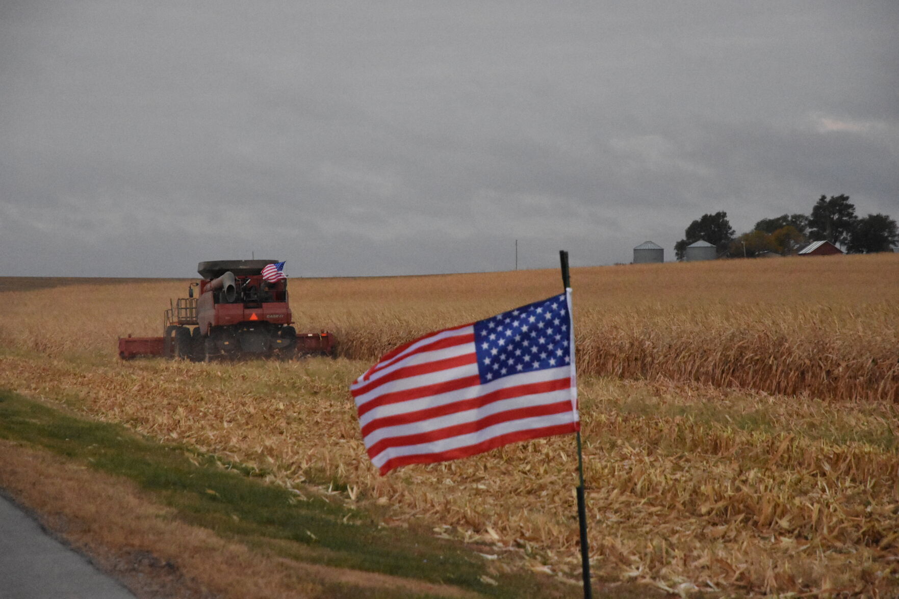 Rempel Harvest (23).JPG